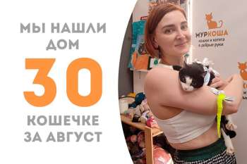 Стрекоза стала домашней!