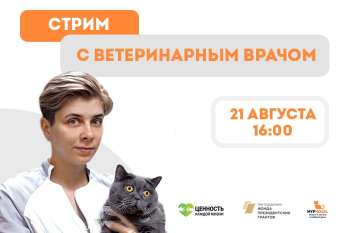 Стрим с руководителем ветеринарного отдела "Муркоши" Юлией Геннадьевной. 