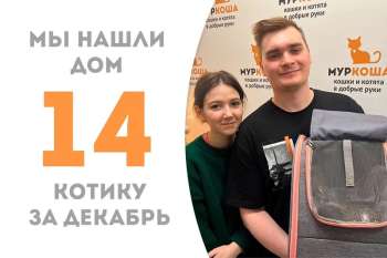 Такэ уезжает домой спустя полтора месяца!