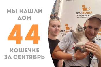 Нежная Талица погостила у нас две недели и отправилась домой!