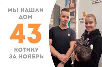 Всего за 3 недельки чудесный Тамарис стал счастливчиком!