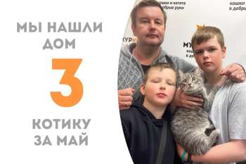 Очаровательный Тео пробыл у нас две недели, и отправляется в дружную семью!
