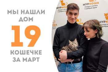 Менее чем за 3 недели Теофила становится домашней любимицей!