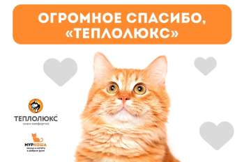 Спасибо компании "Теплолюкс" за помощь и поддержку