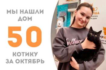 Меньше месяца понадобилось Тибулу, чтобы встретить своего человека!