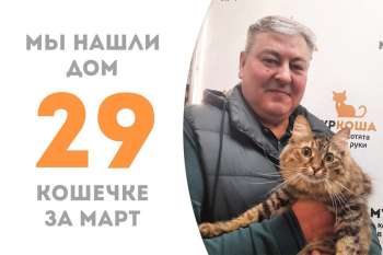 Чудесная Тиккурила отправляется домой!