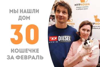 Прошёл всего лишь месяц, а Ткемали снова домашняя!