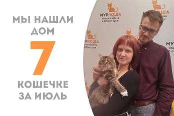 Менее трех месяцев понадобилось Толмии, чтобы встретить своих людей!