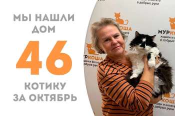 Толстопуз уезжает домой!