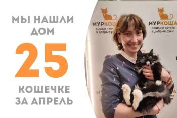 Торпедка встретила свою добрую хозяйку!