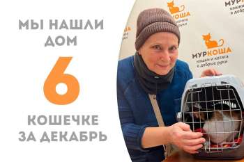 Нежная Трейси уехала домой!