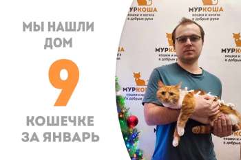 Чуть меньше трех месяцев понадобилось Тровате, чтобы встретить своего человека!