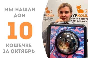 Туи отправляется домой!