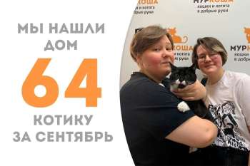 Спустя три месяца Твист снова домашний!