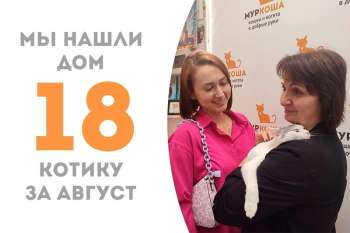 Всего три месяца прошло, а Ухтыш уже встретил свою семью!