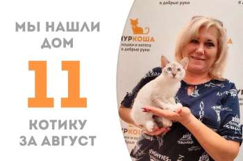 Уокер становится счастливчиком и уезжает к Залине!