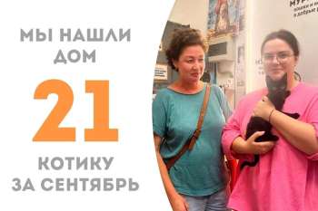 Урсик встретил семью всего спустя неделю!