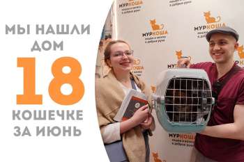Устиша прощается с нами, отправляясь домой!