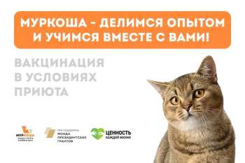 Запись видео с ветеринарным врачом. Вакцинация в условиях приюта.