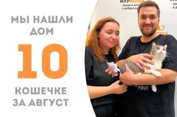 Валентинка не пробыла у нас и трех месяцев, а уже собралась домой!