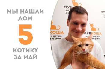 Василий Иваныч повстречал своего хозяина!