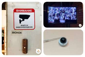 Камеры в приюте. Муркоша – делимся опытом и учимся вместе с вами!