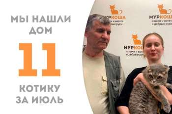 Виндзор отправился домой!