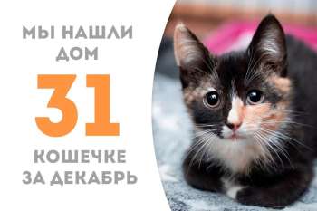 Вишенка вновь обрела счастье!