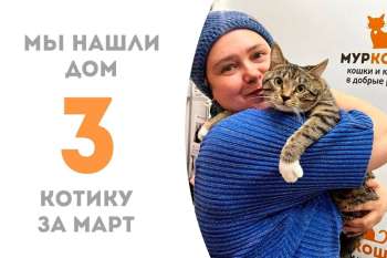 Полосатенький Виваче стал третьим домашним счастливчиком марта!