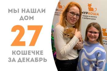 Чуть больше месяца понадобилось Янтарине, чтобы найти семью!