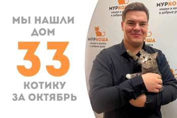 Чуть больше трех месяцев прошло – а Ясенец встретил своего человека!