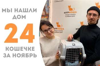 Нежная Ясика стала домашней любимицей!