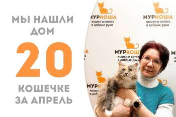 Бесподобная Юци уезжает домой, где ее ждут Челентано и Халапенья!