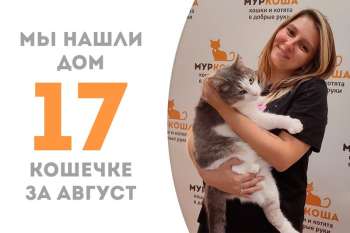Нежная Юдзуки становится домашней и отправляется к нашей выпускнице, Сенеке!