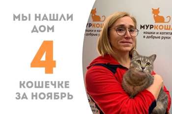 Юмико уезжает домой спустя два месяца!
