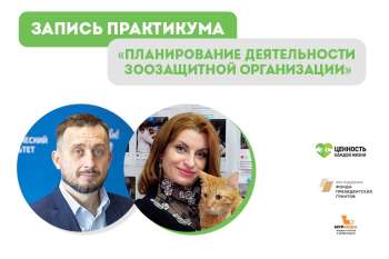 Итоги практикума "Планирование деятельности зоозащитной организации"