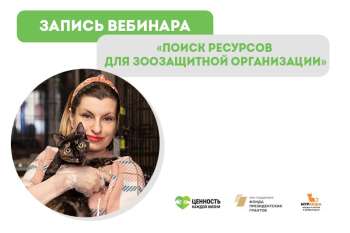 Запись вебинара "Поиск ресурсов для зоозащитной организации"
