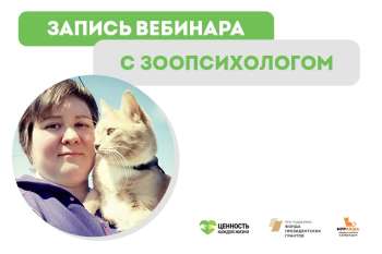 Запись вебинара с зоопсихологом Татьяной Куликовой