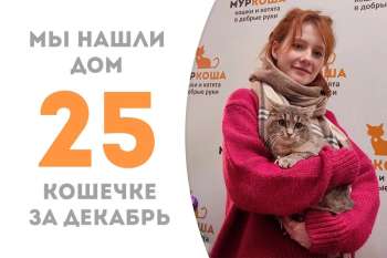 Завитушка нашла свой дом меньше чем за два месяца!