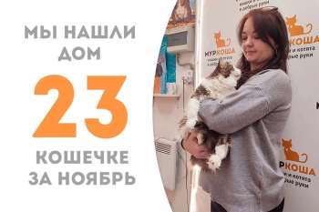 Роскошная Зайкуша обрела долгожданную семью!