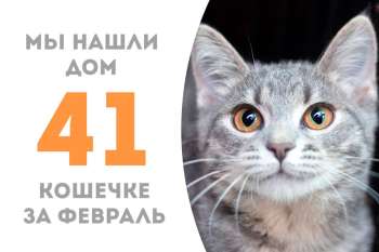 Кроха Жабо стала домашней!