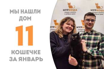 Жеода стала домашней!