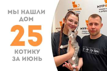 Всего месяц потребовался Жирафику, чтобы обрести свой дом!