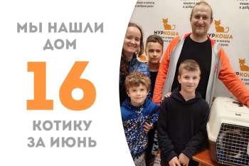 Жора-Обжора покорил семью!
