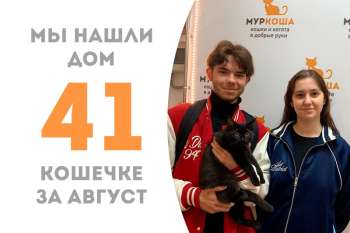 Чудесной Аджике улыбнулось счастье спустя всего 3 месяца!