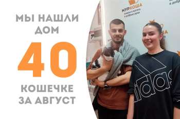 Всего за 3 месяца нашлась семья талантливой Акапеллы!