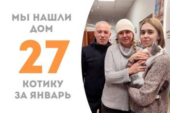 Чуть больше трех месяцев понадобилось Ахти, чтобы стать домашним!