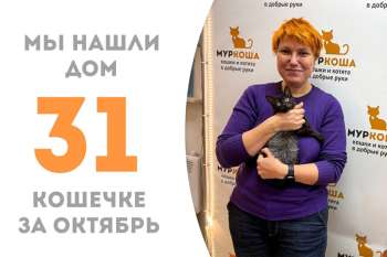 Затейливая Акустика обрела дом!