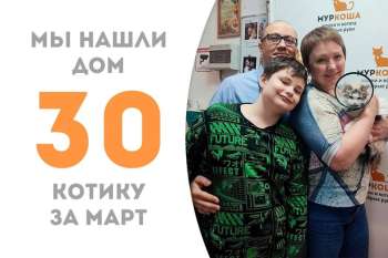 Всего два месяца с небольшим провел у нас пушистик Альби, а уже встретил дружную семью!