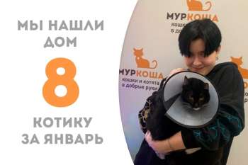 Чуть меньше двух месяцев провел у нас Алексейкин и накануне Рождества уехал домой!